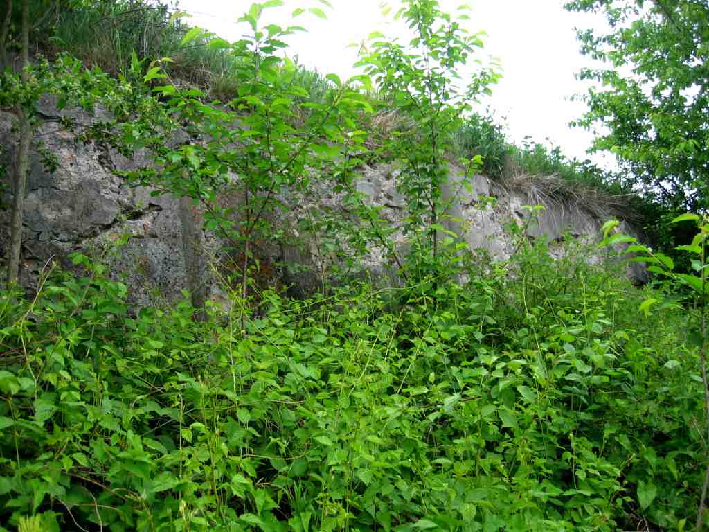 Mur oporowy kirkutu od strony bużyska (fot. H. Żurawski 2006)