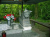 Wilk (fot. H. �urawski 2006)